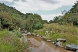 klipriviersberg-municipal-nature-reserve-