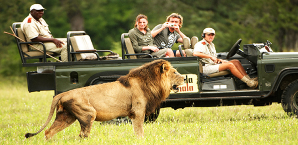 mala-mala-game-reserve-safari-fp